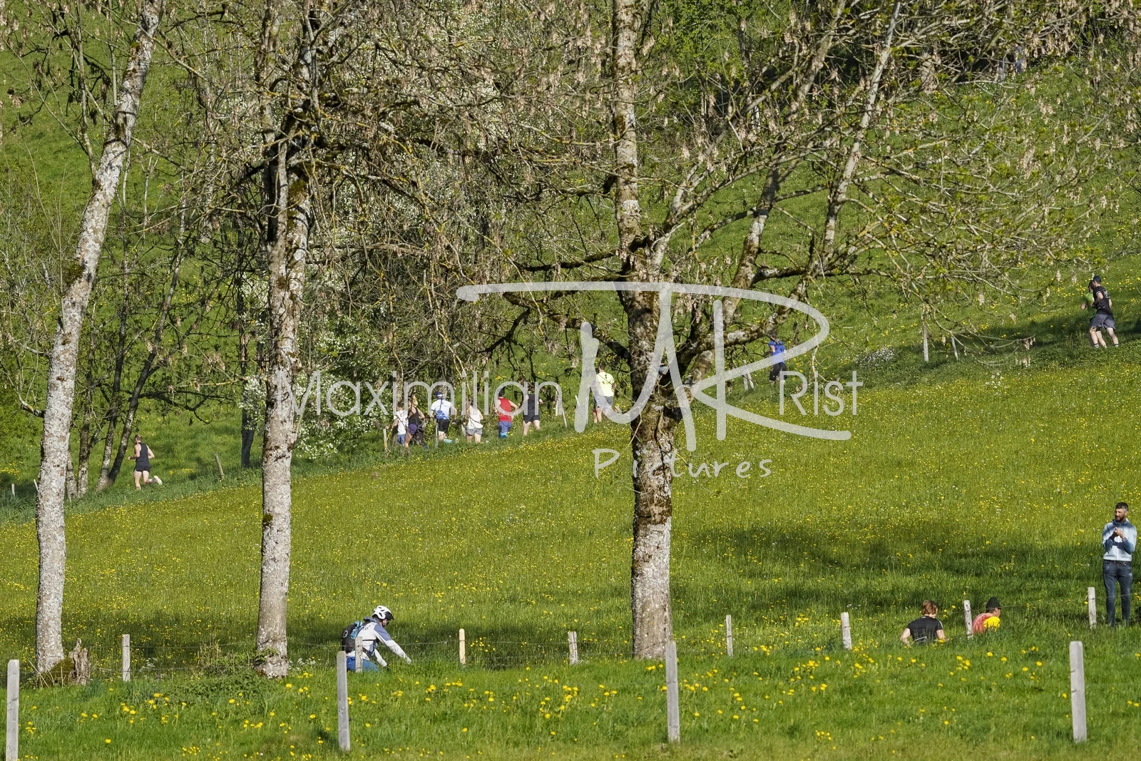 26.04.30_MRP_Kugelberglauf_MRP07103.JPG